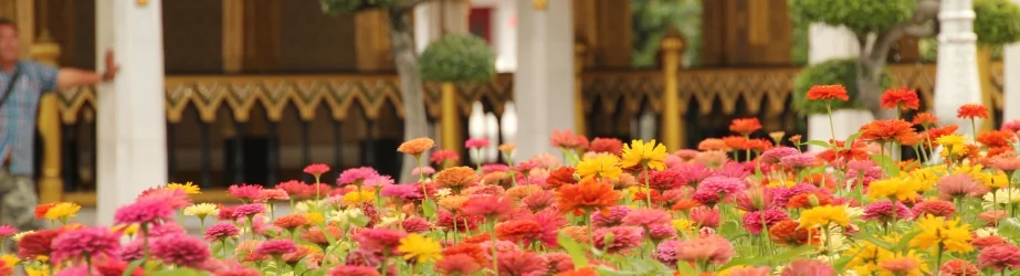 Chelsea Flower Show