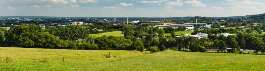 Surrey